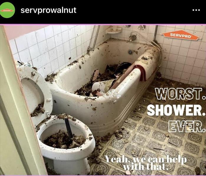 A bathtub and toilet with debris from a collapsed ceiling in them. 