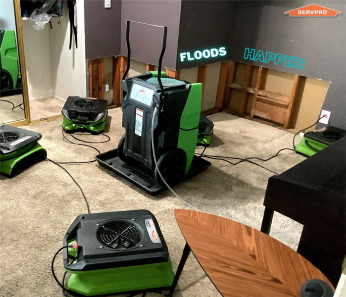 Five green box fans and a green dehumidifier sit in a crowded bedroom with dark grey walls. A brown desk can be seen.