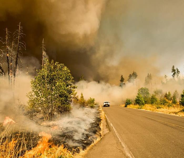 A white truck drives out of a large cloud of smoke in a forested area