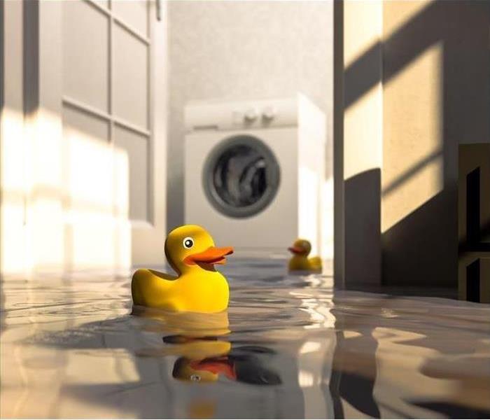 rubber yellow duck in a pool of water from a leak